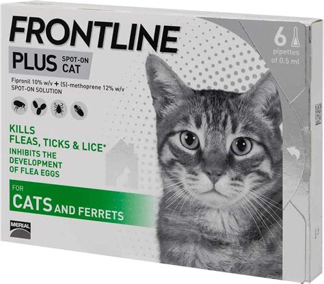 kitten pipette|FRONTLINE® Plus for Cats .